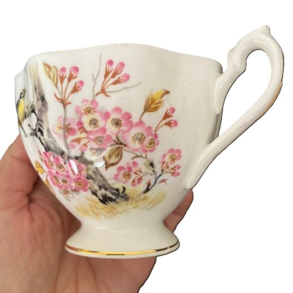 Vintage Queen Anne Bird in Cherry Blossom Tree Fine Bone China Cup Saucer Set - Picture 11 of 15